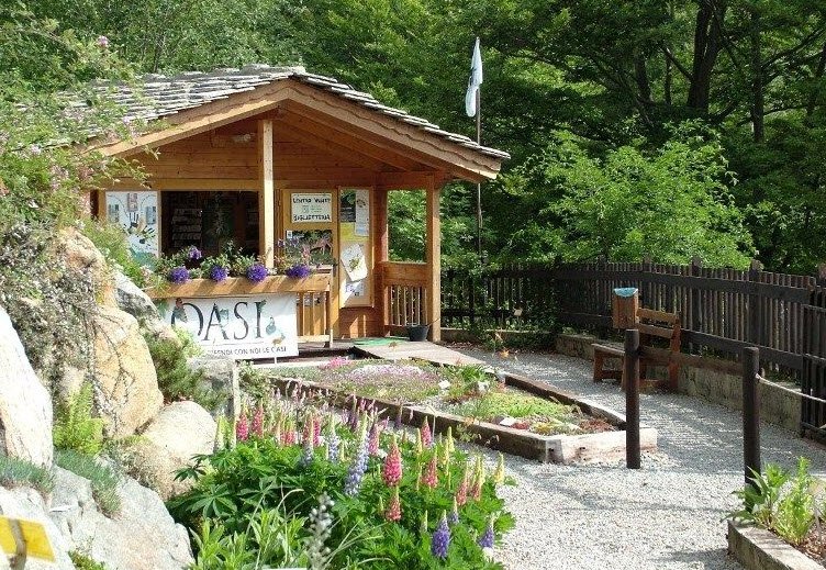 Oropa's botanic garden, Italy, Italy
